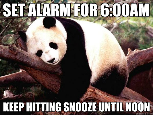 SET ALARM FOR 6:00AM KEEP HITTING SNOOZE UNTIL NOON  Procrastination Panda