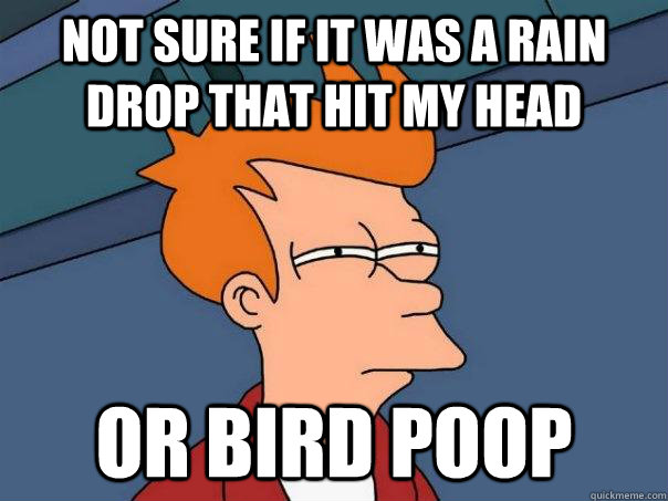 Not sure if it was a rain drop that hit my head Or bird poop - Not sure if it was a rain drop that hit my head Or bird poop  Futurama Fry