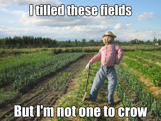 I tilled these fields But I'm not one to crow   Scarecrow