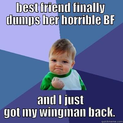 all the single ladies... - BEST FRIEND FINALLY DUMPS HER HORRIBLE BF AND I JUST GOT MY WINGMAN BACK.  Success Kid