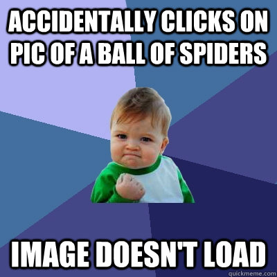 accidentally clicks on pic of a ball of spiders image doesn't load  Success Kid