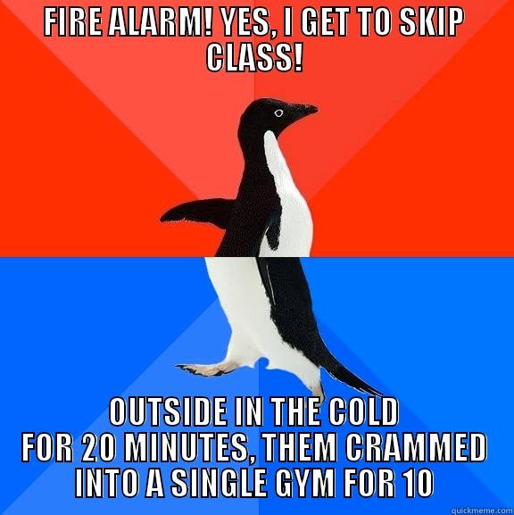 FIRE ALARM! YES, I GET TO SKIP CLASS! OUTSIDE IN THE COLD FOR 20 MINUTES, THEM CRAMMED INTO A SINGLE GYM FOR 10 Socially Awesome Awkward Penguin