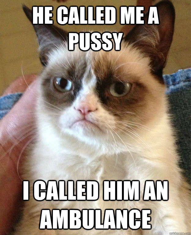 He called me a pussy I called him an ambulance  Grumpy Cat