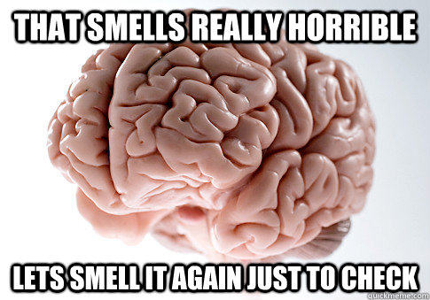 That smells really horrible lets smell it again just to check  Scumbag Brain