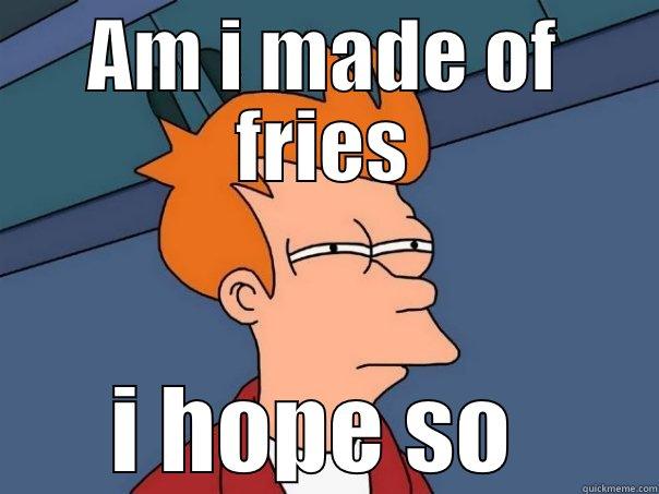 Fri Guy  - AM I MADE OF FRIES I HOPE SO  Futurama Fry