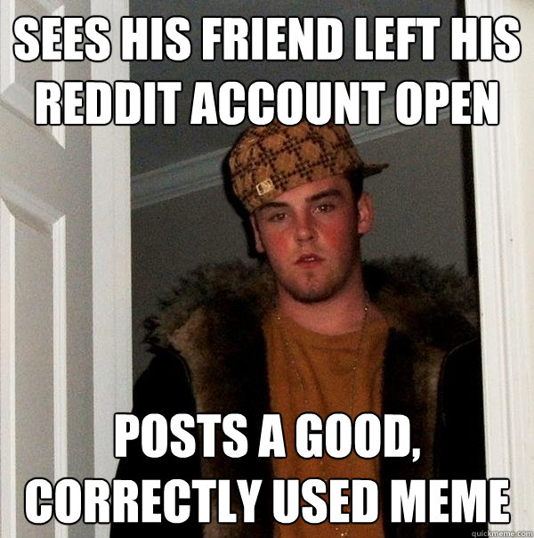 Sees his friend left his reddit account open posts a good, correctly used meme  Scumbag Steve