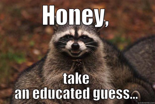 HONEY, TAKE AN EDUCATED GUESS... Evil Plotting Raccoon