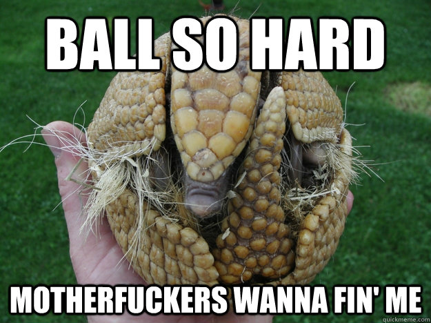 ball so hard Motherfuckers wanna fin' me  Armadillo Ball