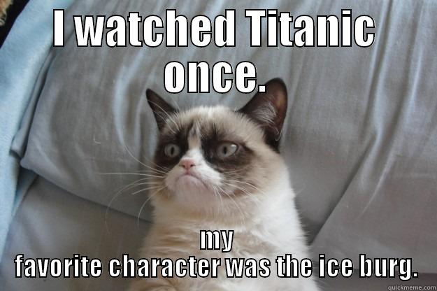 I watched titanic once. - I WATCHED TITANIC ONCE. MY FAVORITE CHARACTER WAS THE ICE BURG. Grumpy Cat