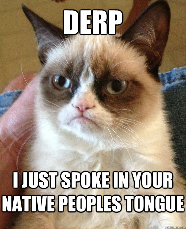 derp i just spoke in your native peoples tongue  Grumpy Cat