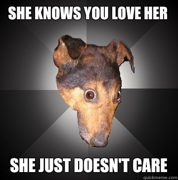 She knows you love her She just doesn't care  Depression Dog