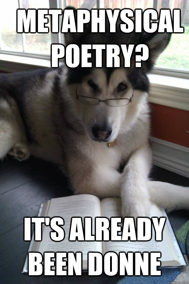 Metaphysical poetry? It's already been donne - Metaphysical poetry? It's already been donne  Condescending Literary Pun Dog