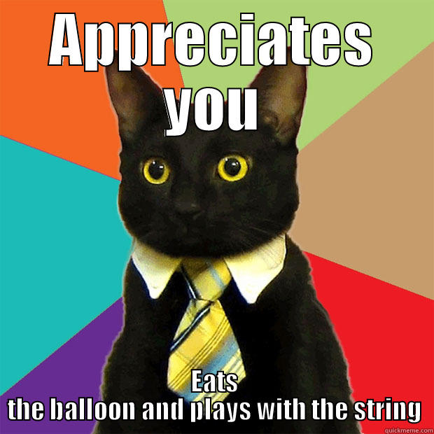 APPRECIATES YOU EATS THE BALLOON AND PLAYS WITH THE STRING Business Cat