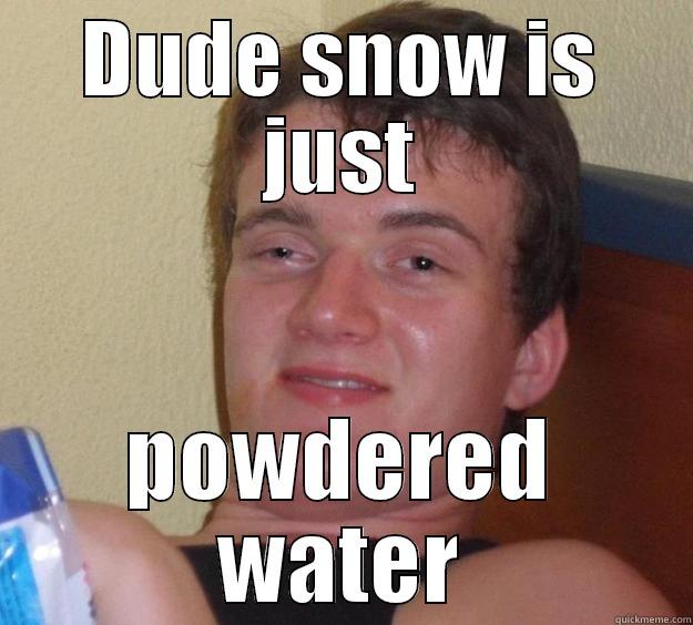 DUDE SNOW IS JUST POWDERED WATER 10 Guy