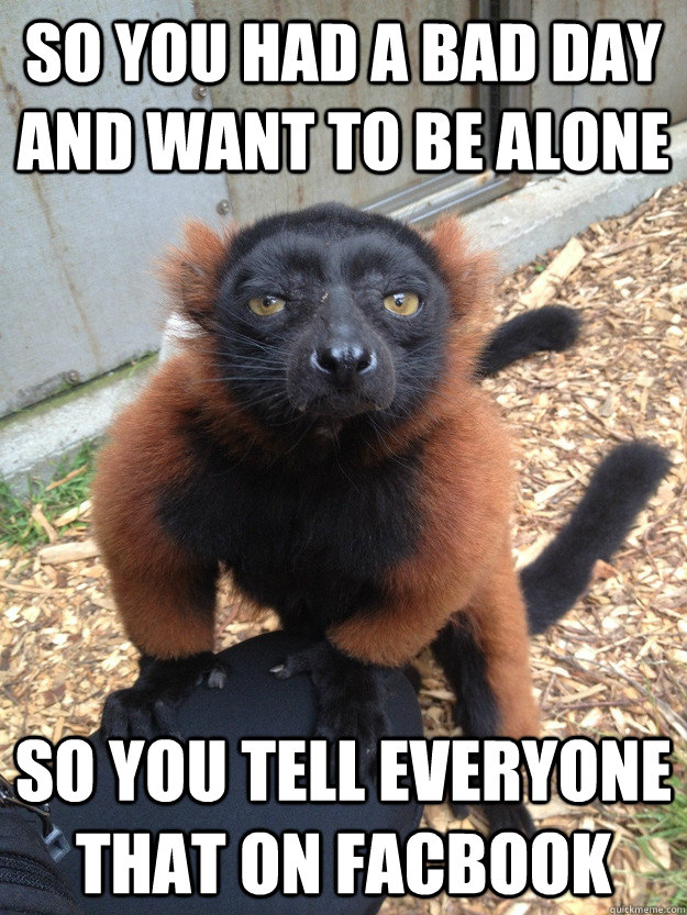 So you had a bad day and want to be alone So you tell everyone that on Facbook - So you had a bad day and want to be alone So you tell everyone that on Facbook  Judgmental Lemur