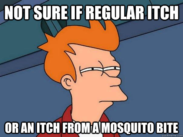 Not sure if regular itch Or an itch from a mosquito bite  Futurama Fry