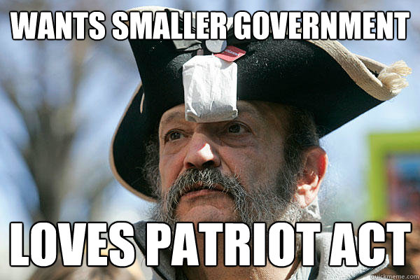 wants smaller government loves patriot act  Tea Party Ted