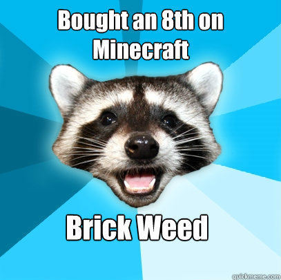 Bought an 8th on Minecraft Brick Weed  Lame Pun Coon