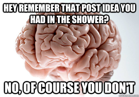 Hey remember that post idea you had in the shower? No, of course you don't  Scumbag Brain