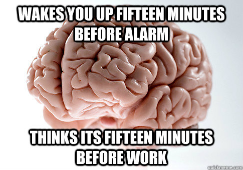 wakes you up fifteen minutes before alarm thinks its fifteen minutes before work  Scumbag Brain