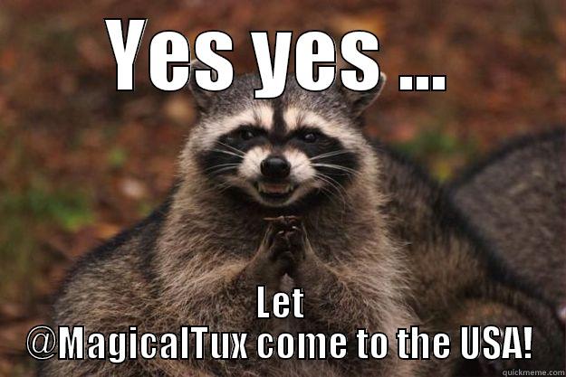 YES YES ... LET @MAGICALTUX COME TO THE USA! Evil Plotting Raccoon