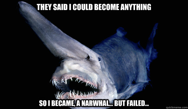They said i could become anything So I became, A narwhal... But failed... - They said i could become anything So I became, A narwhal... But failed...  Goblin Shark