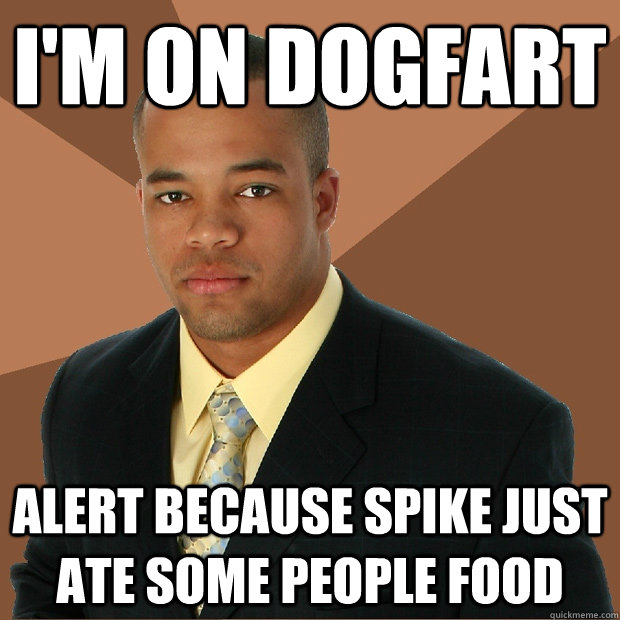 I'm on dogfart alert because Spike just ate some people food   Successful Black Man