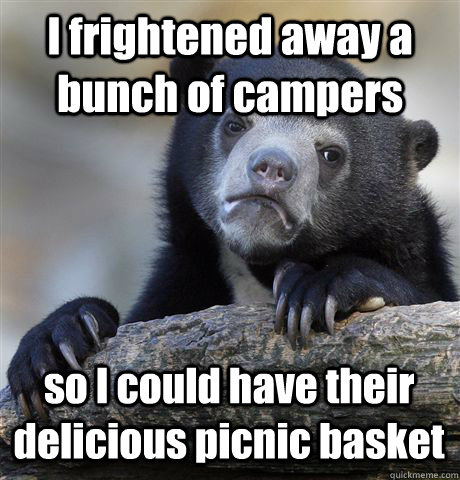 I frightened away a bunch of campers so I could have their delicious picnic basket  Confession Bear