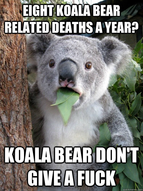 eight koala bear related deaths a year? koala bear don't give a fuck  koala bear