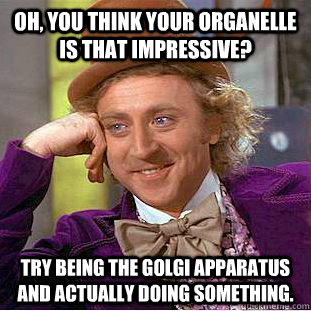 Oh, you think your organelle is that impressive?  Try being the Golgi Apparatus and actually doing something.   Condescending Wonka