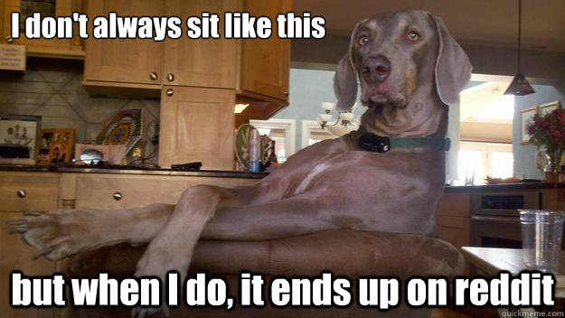 I don't always sit like this but when I do, it ends up on reddit  