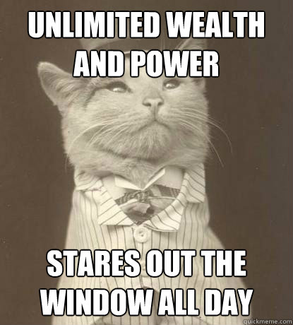 unlimited wealth and power stares out the window all day  Aristocat