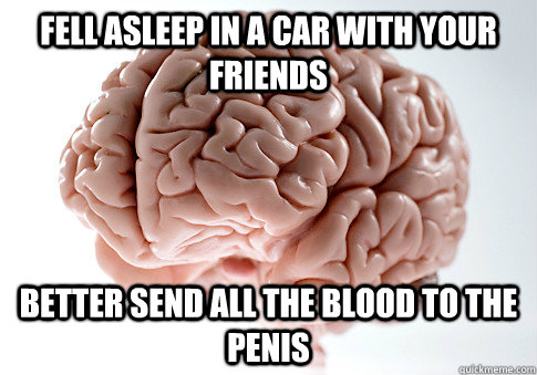 Fell asleep in a car with your friends better send all the blood to the penis  Scumbag Brain