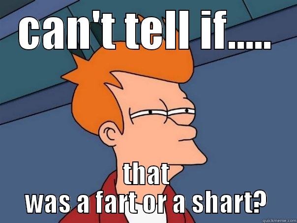 CAN'T TELL IF..... THAT WAS A FART OR A SHART? Futurama Fry