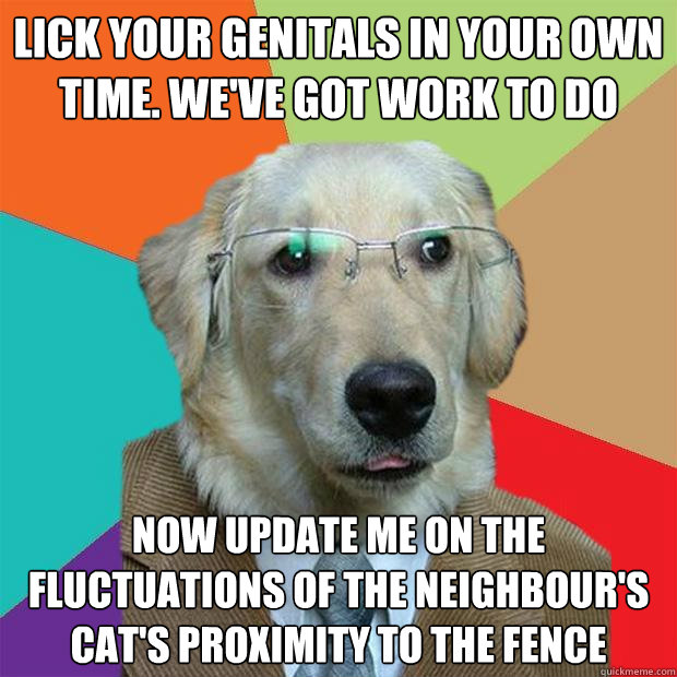 lick your genitals in your own time. we've got work to do now update me on the fluctuations of the neighbour's cat's proximity to the fence  Business Dog