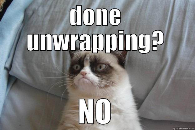 DONE UNWRAPPING? NO Grumpy Cat