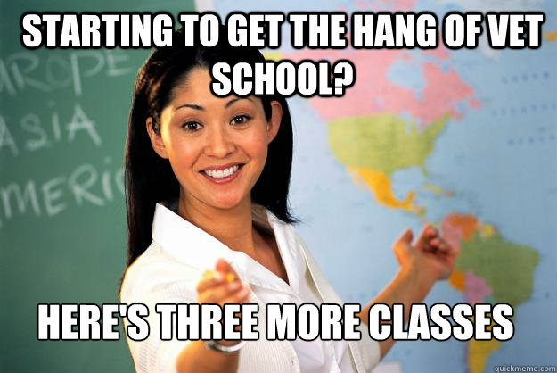 Starting to get the hang of vet school? Here's three more classes  Unhelpful High School Teacher