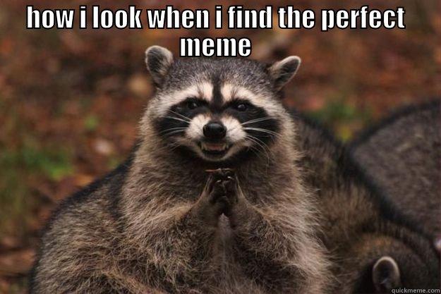 HOW I LOOK WHEN I FIND THE PERFECT  MEME   Evil Plotting Raccoon