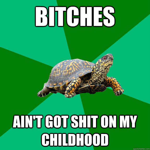 bitches  ain't got shit on my childhood - bitches  ain't got shit on my childhood  Torrenting Turtle