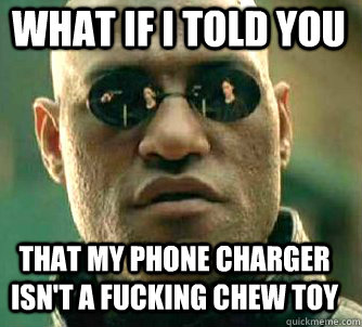 what if i told you that my phone charger isn't a fucking chew toy - what if i told you that my phone charger isn't a fucking chew toy  Matrix Morpheus