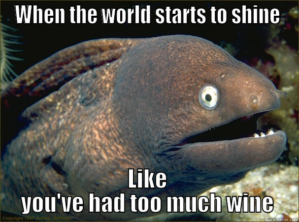 WHEN THE WORLD STARTS TO SHINE LIKE YOU'VE HAD TOO MUCH WINE Bad Joke Eel