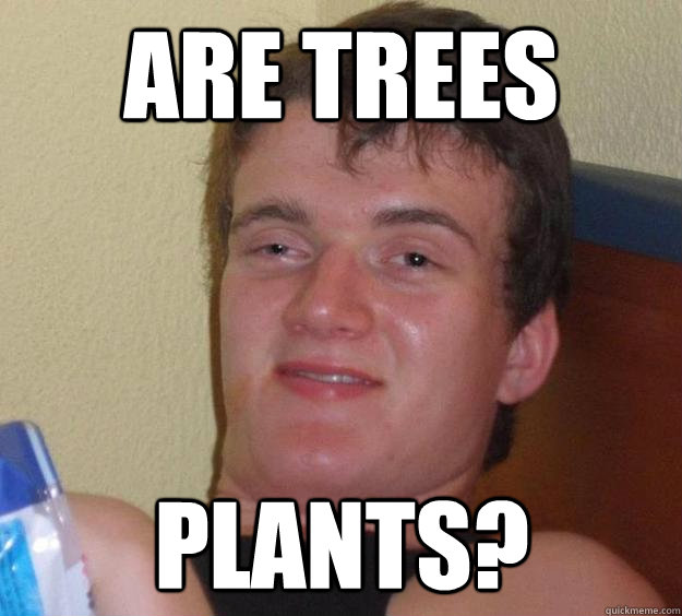 are trees plants?  10 Guy