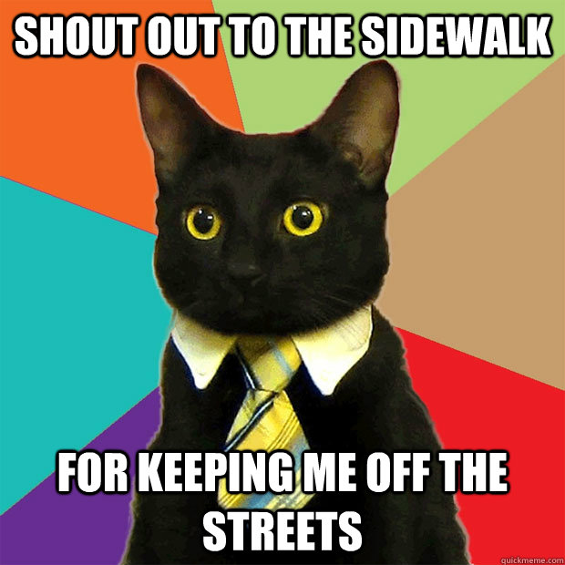 Shout out to the sidewalk For keeping me off the streets  Business Cat