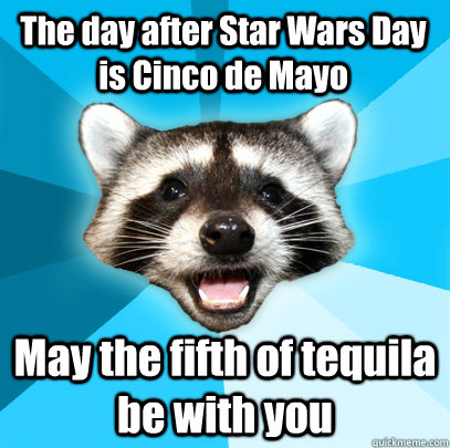 The day after Star Wars Day is Cinco de Mayo May the fifth of tequila be with you  Lame Pun Coon