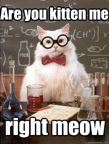 Are you kitten me right meow  Chemistry Cat