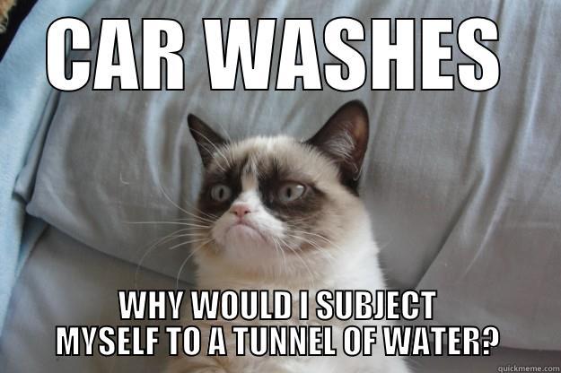 CAR WASHES WHY WOULD I SUBJECT MYSELF TO A TUNNEL OF WATER? Grumpy Cat