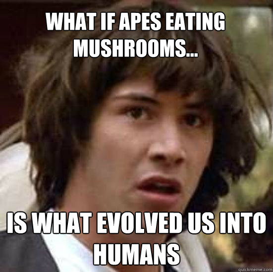 What if Apes eating Mushrooms... Is what evolved us into humans  conspiracy keanu