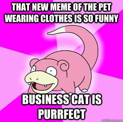 That new meme of the pet wearing clothes is so funny business cat is purrfect - That new meme of the pet wearing clothes is so funny business cat is purrfect  Slowpoke