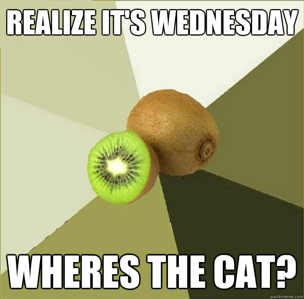 Realize it's wednesday Wheres the cat?  Unclear Meme Kiwi