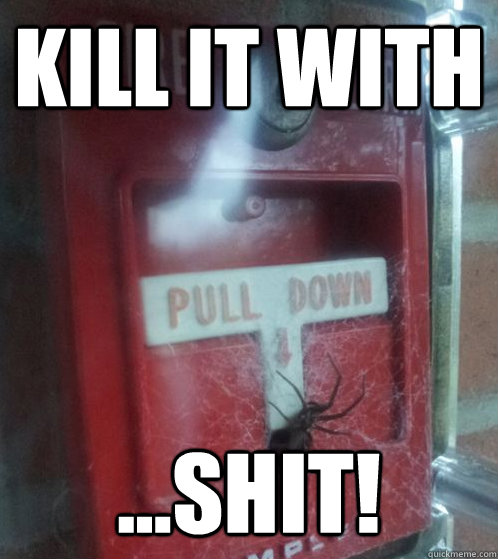 KILL IT WITH ...SHIT!  Fire Spider